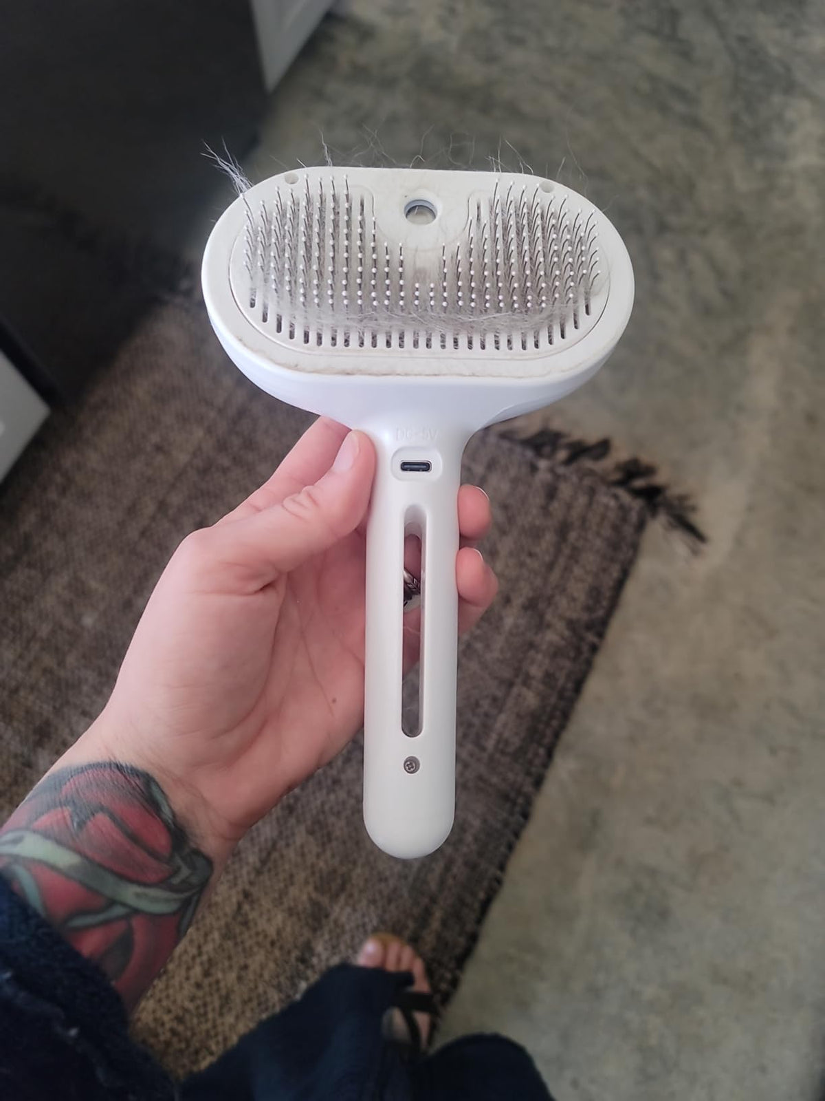 Multifunctional steam brush - for cats and dogs