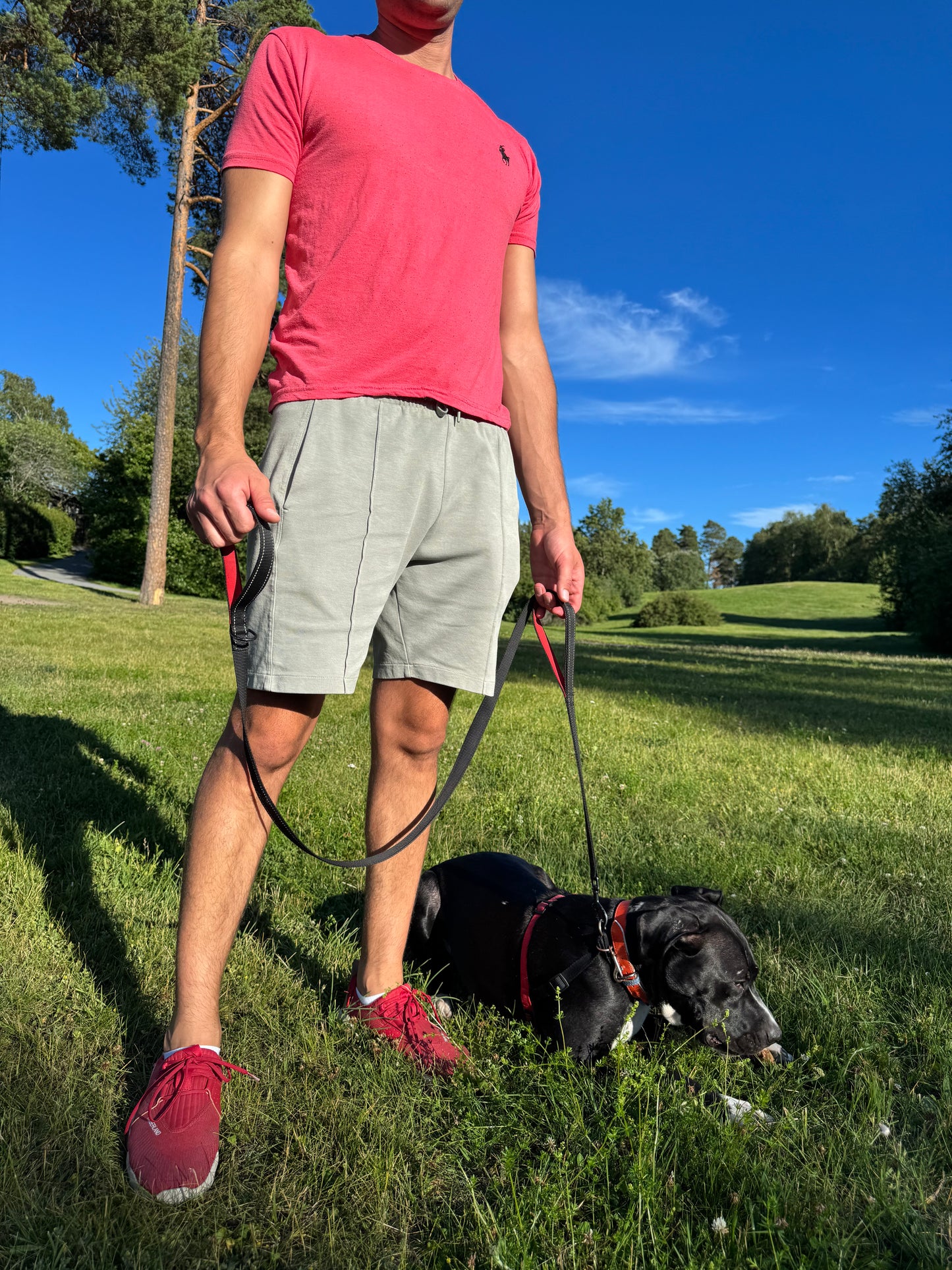 Reflex leash with double handles