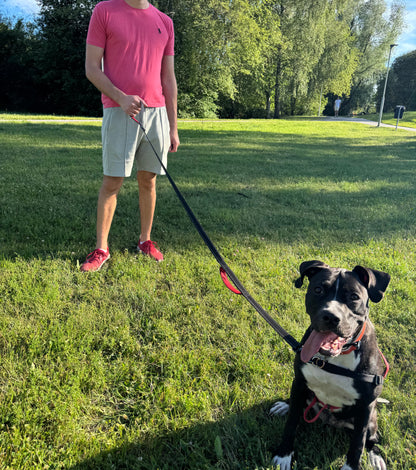Reflex leash with double handles