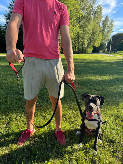 Reflex leash with double handles
