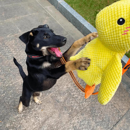 Dog toy for teeth cleaning - Duck