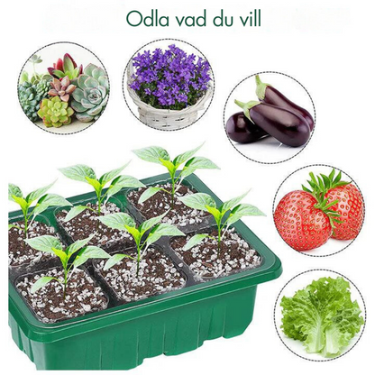 Indoor greenhouse with LED and air circulation